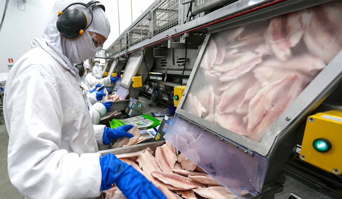 Processamento do pescado para exportação