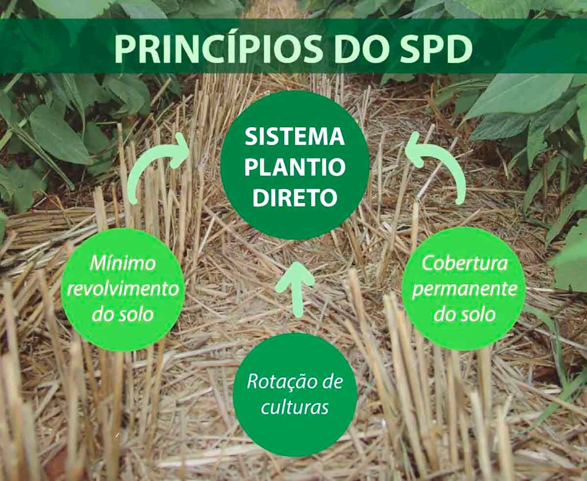 Princípios do Sistema Plantio Direto