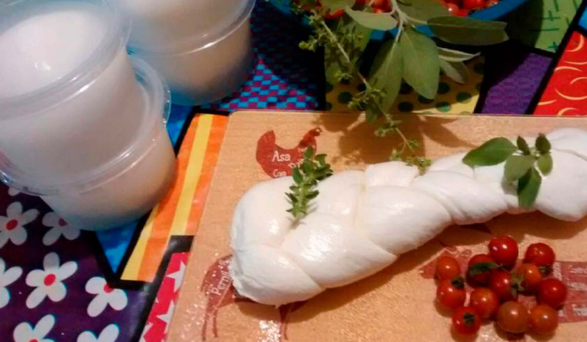 Mozzarella de Búfala artesanal da Latte Buono