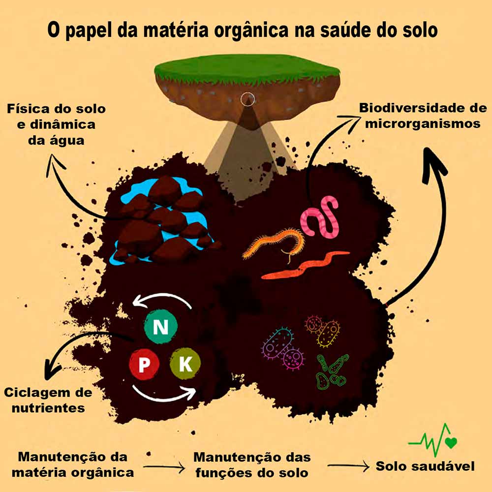 O papel da matéria orgânica na saúde do solo - Livro "Saúde do Solo - Múltiplas perspectivas e percepções" - Maurício Roberto Cherubin & Bruna Emanuele Schiebelbein