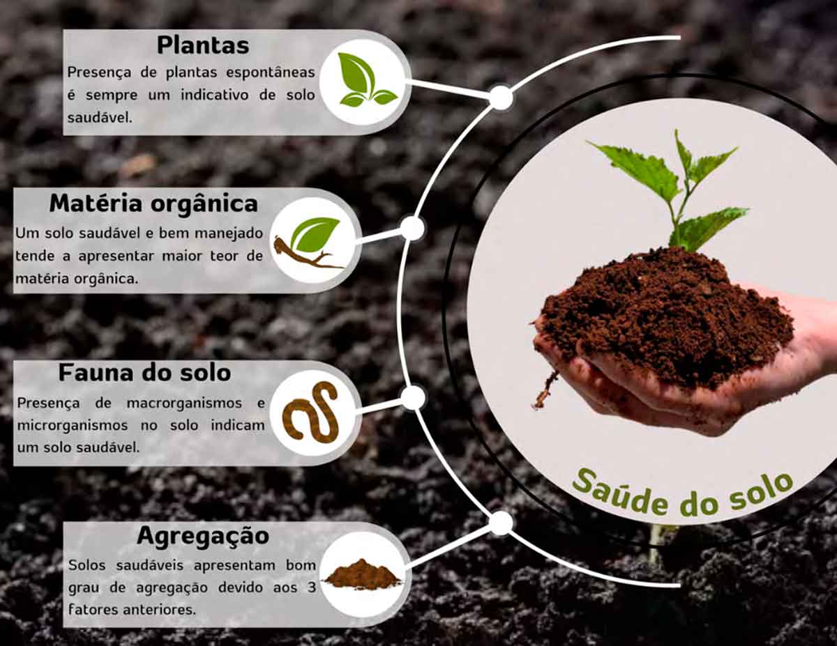 4 fatores essenciais para que um solo saudável - Fonte: Livro "Saúde do Solo - Múltiplas perspectivas e percepções - Maurício Roberto Cherubin & Bruna Emanuele Schiebelbein)