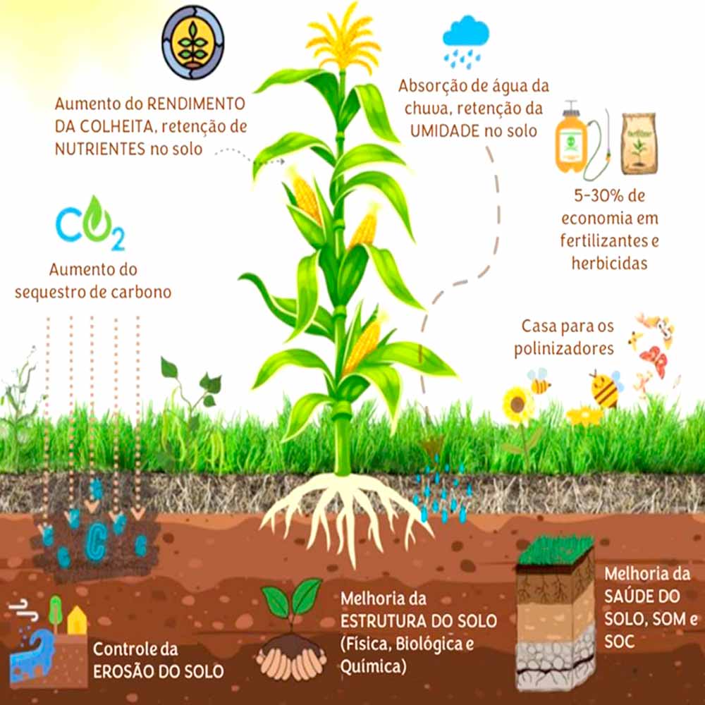 Ilustração sobre agricultura regenerativa
