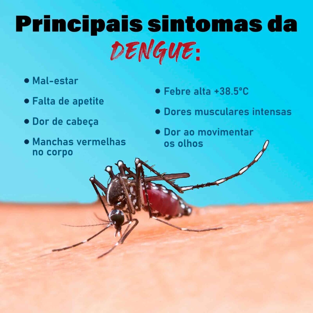Sintomas do dengue