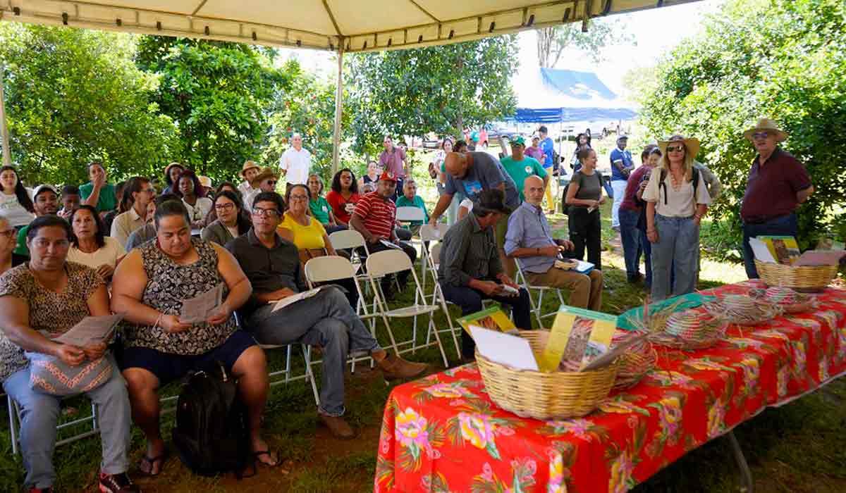 Interessados de várias regiões se reuniram para conhecer os sistemas agroecológicos de seleção e produção