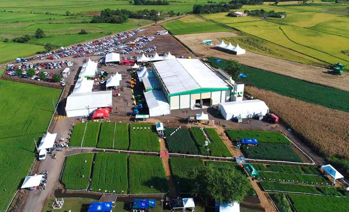 Vista do Campo Acelerador Cooperja