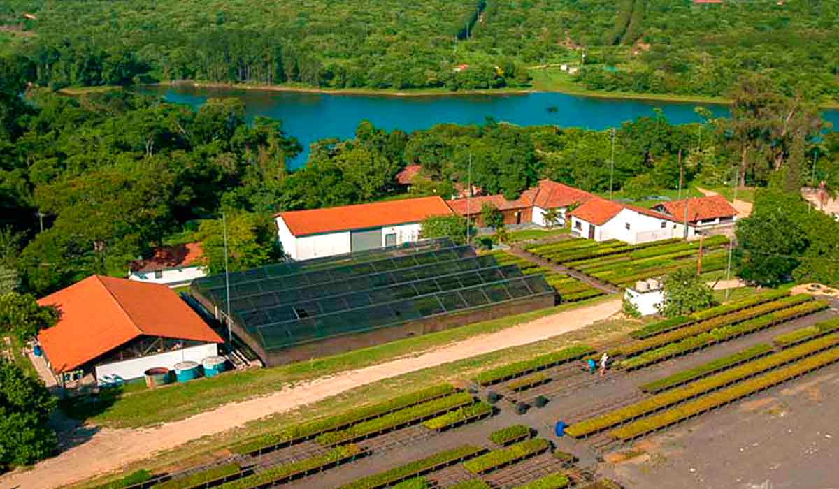 Vista do Centro de Experimentos Florestais SOS Mata Atlântica