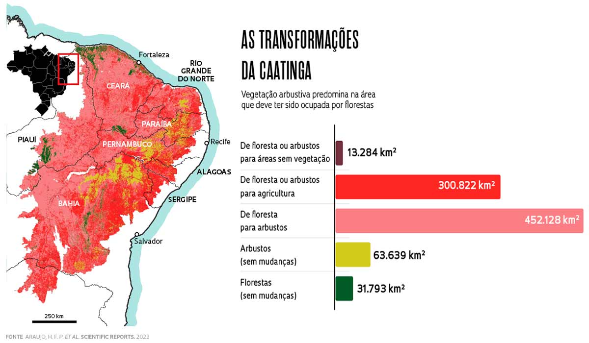 As transformações da caatinga - Fonte: Araújo, H.F.P. et al. Scientific Reports, 2023