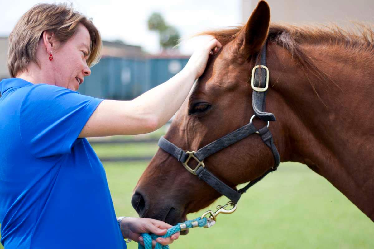 Nossos animais merecem todo o carinho com um estoque veterinário bem gerenciado para atendê-los