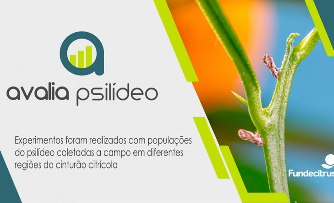 Banner do Avalia Psilideo