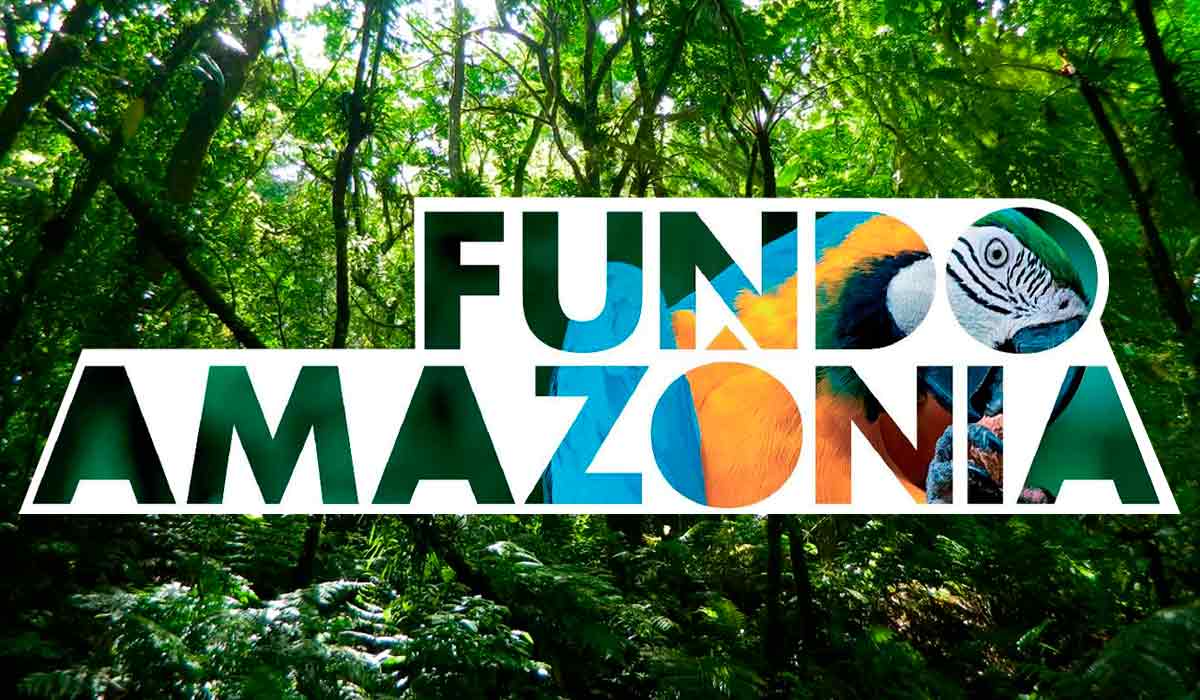 Fundo Amazônia