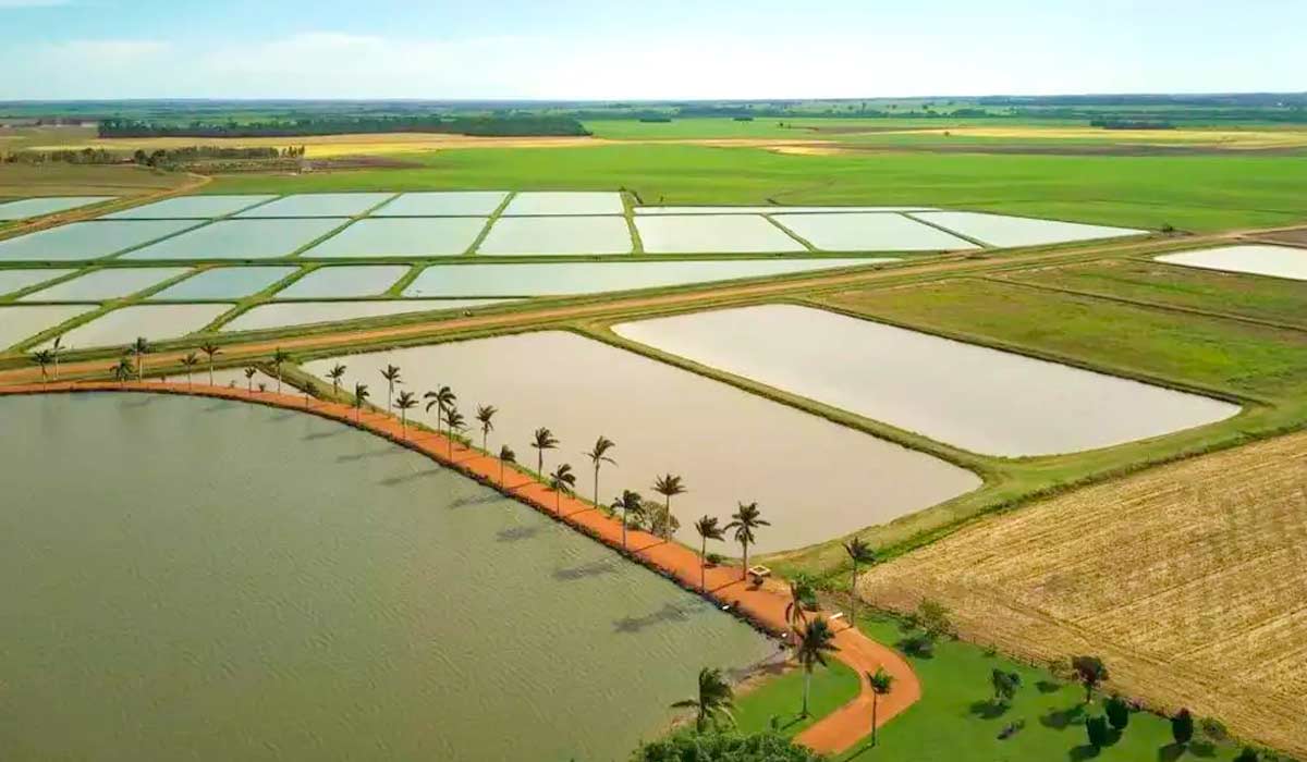 Tanques para a criação de peixes na propriedade rural de Deodápolis