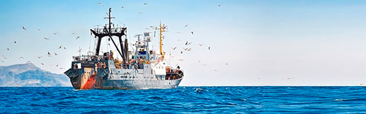 Navio de pesca