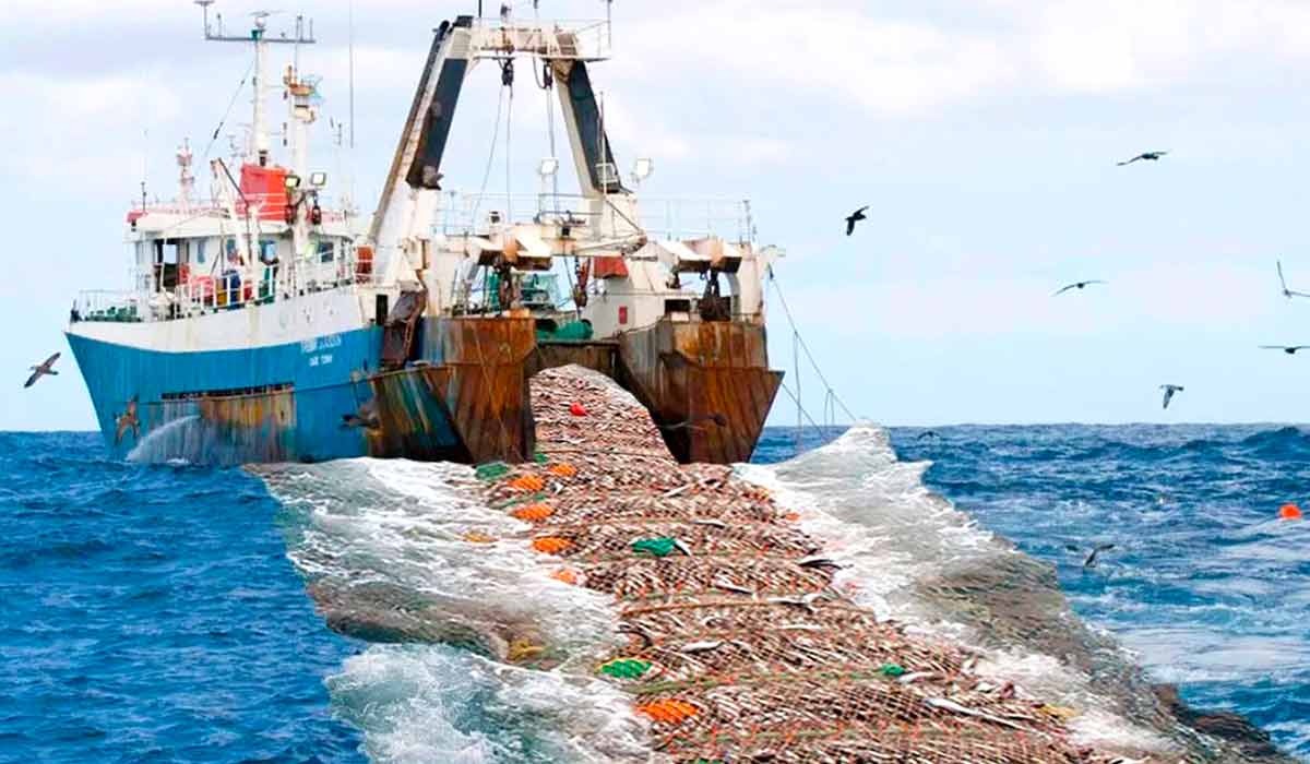 Navio de pesca industrial em operação. Pesquisadores mapearam as embarcações industriais entre 2017 e 2021