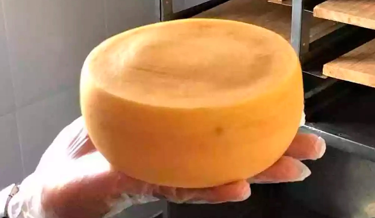 Queijo Minas Artesanal