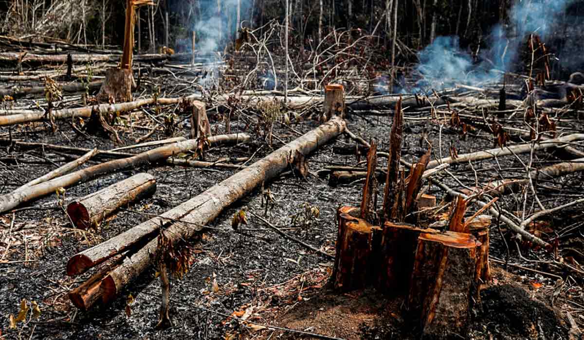 Área afetada por queimada - Foto: Bruno Kelly/Reuters