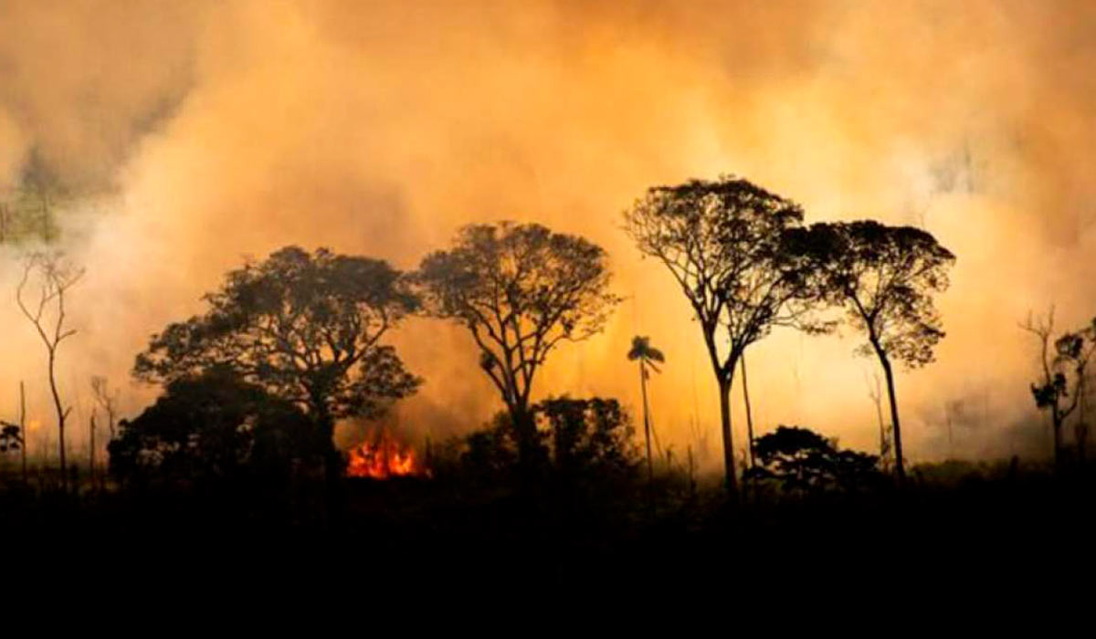 Queimada na amazônia - Foto: Christian Braga/Greenpeace