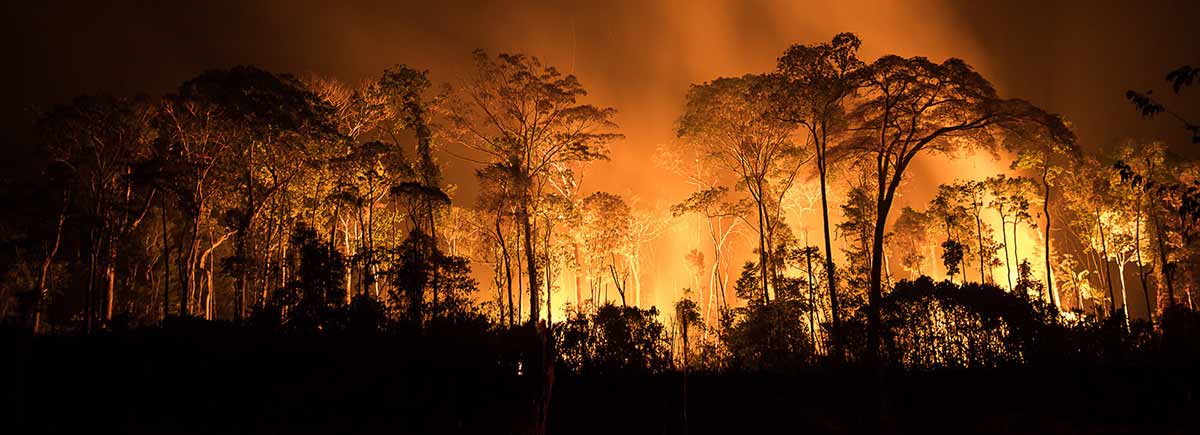 Queimada de grande porte às margens da rodovia BR-230 no município de Apuí, no Amazonas - Foto: Bruno Kelly/Amazonia Real