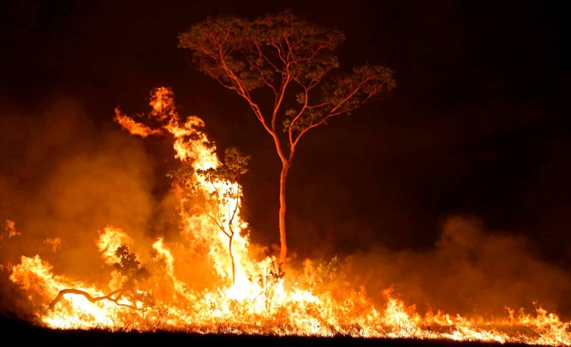 Queimada na floresta amazônica - Foto: Bruno Kelly/Reuters