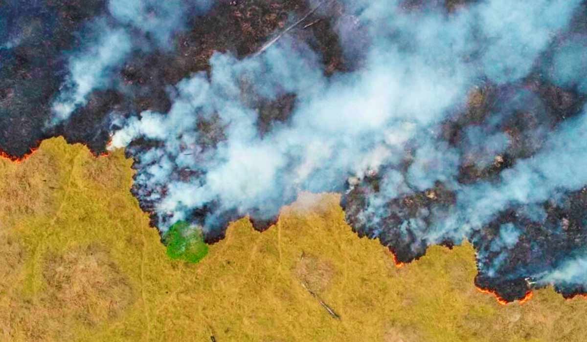 Queimada em área de pastagem (terreno desmatado da selva amazônica) - Foto: Ueslei Marcelino/Reuters