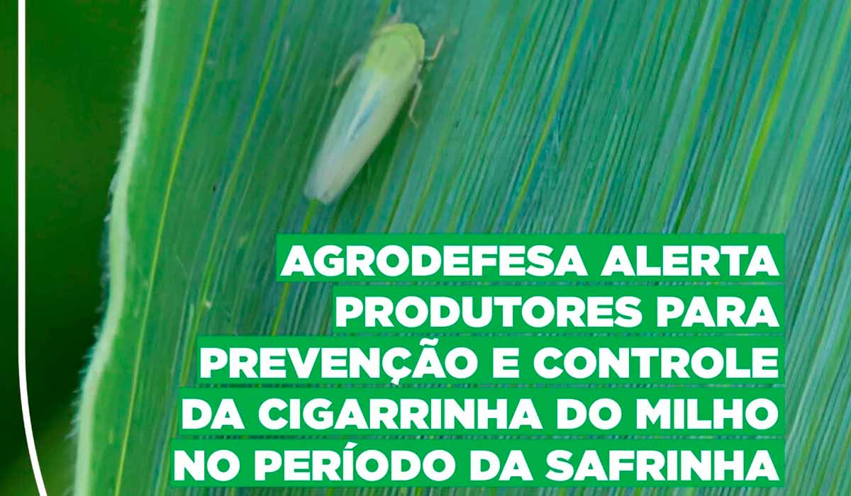 Card da Agrodefesa