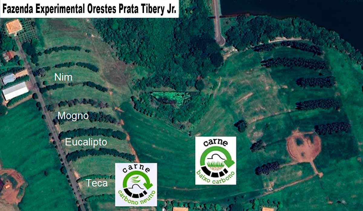 Área da Fazenda Experimental Orestes Prata Tibery Jr. - Foto ABCZ