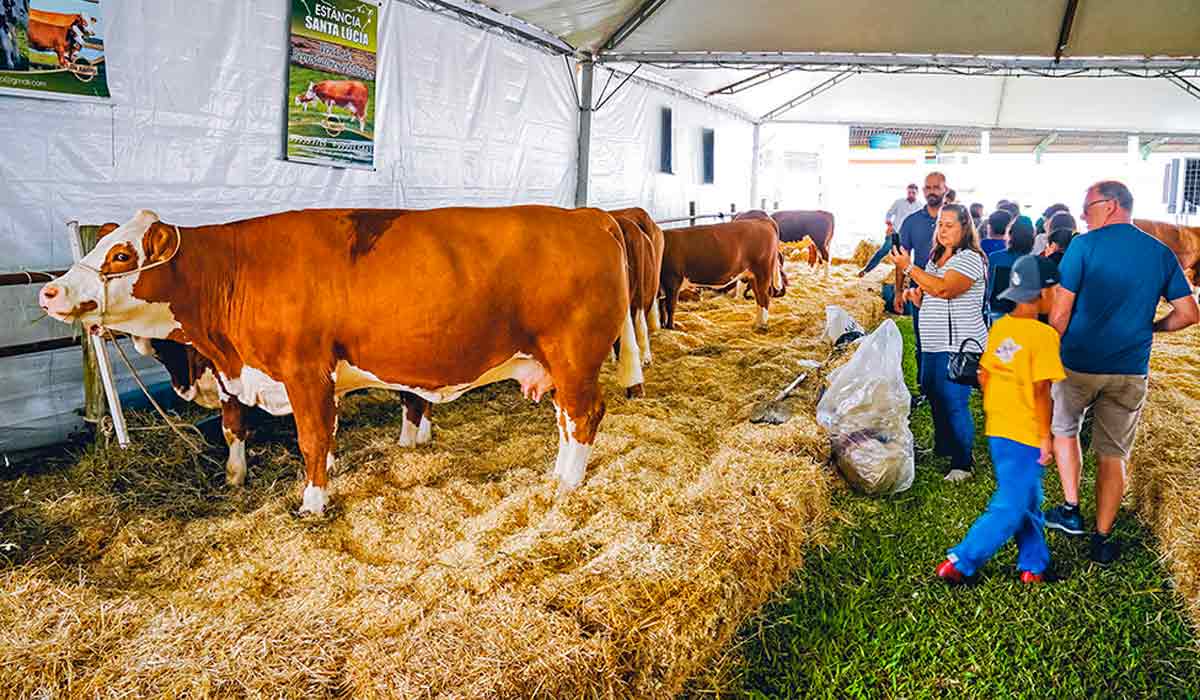 Exposição de animais