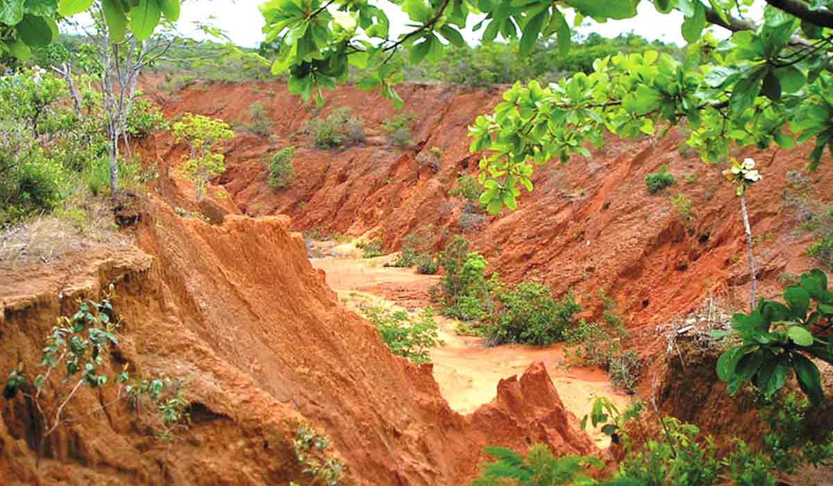 O mapeamento das irregularidades do solo pode conter processos erosivos como este, em Mato Grosso - Foto: Claudio Lucas Capeche/Embrapa Solos