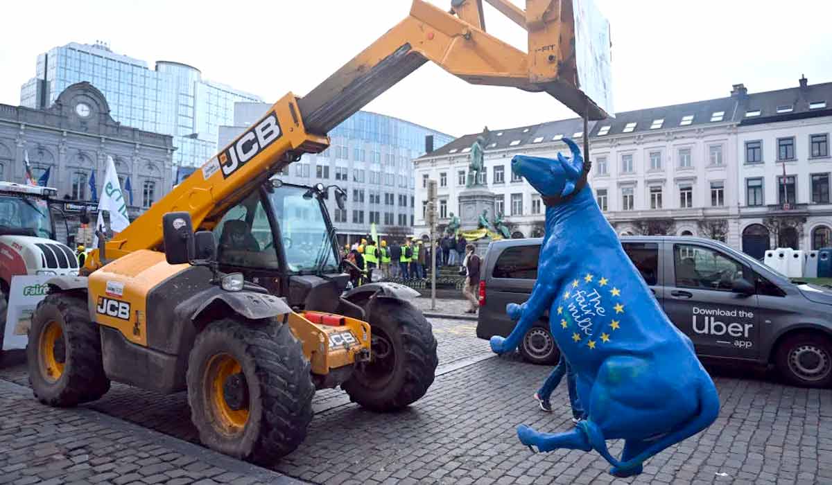 Uma vaca de plástico pintada com as cores da bandeira da UE é segurada por uma correia de um trator durante uma manifestação de agricultores fora do Parlamento Europeu, janeiro de 2024 - Foto: Getty Images
