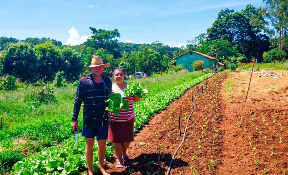 A produtora rural Maria José vai adquirir um tratorito para ajudá-la na construção de novos canteiros e ampliar sua horta