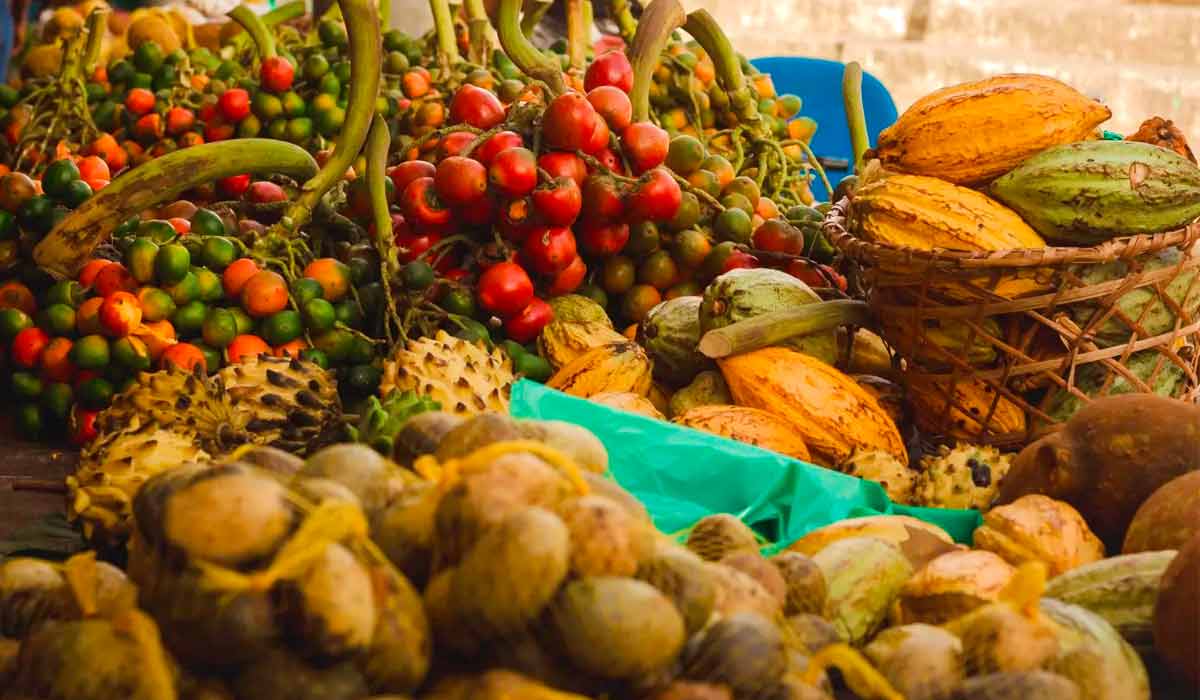 Produtos agroecológicos em feira no Pará