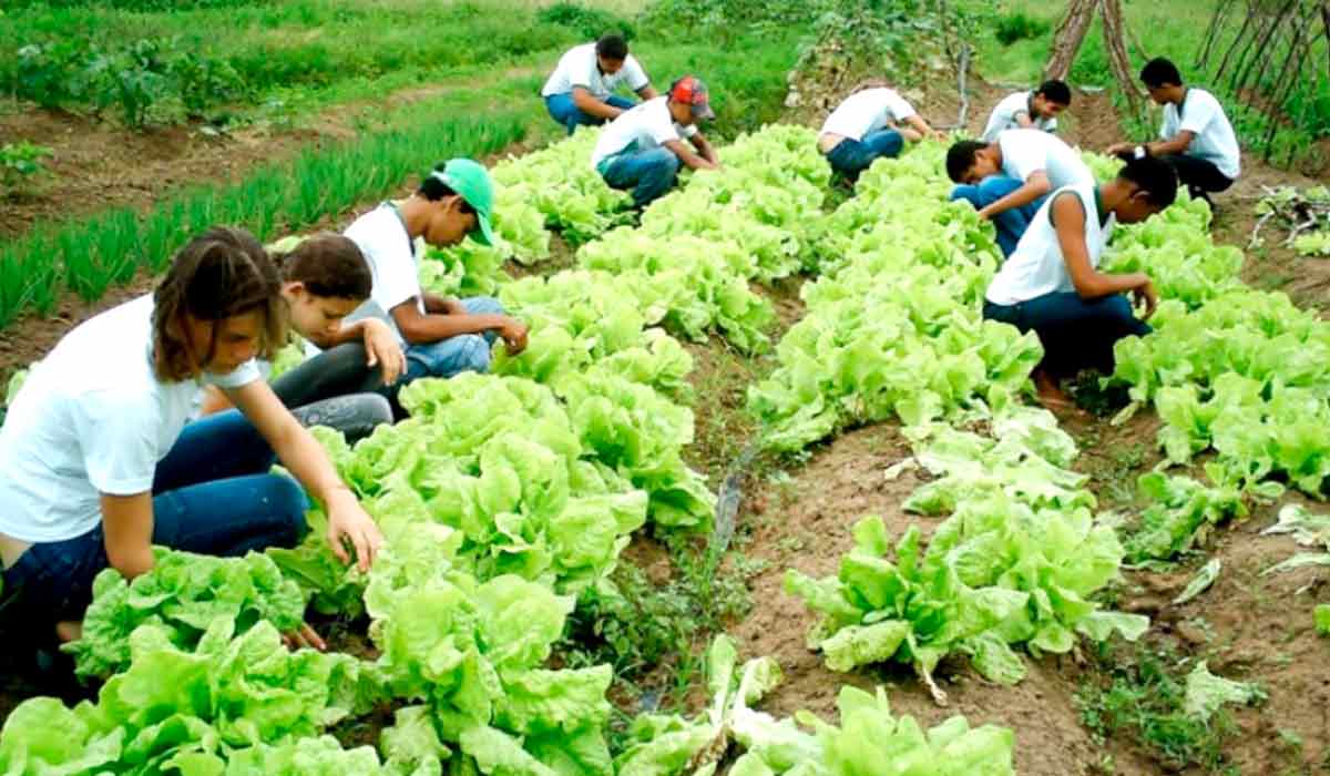 Jovens rurais em capacitação no campo