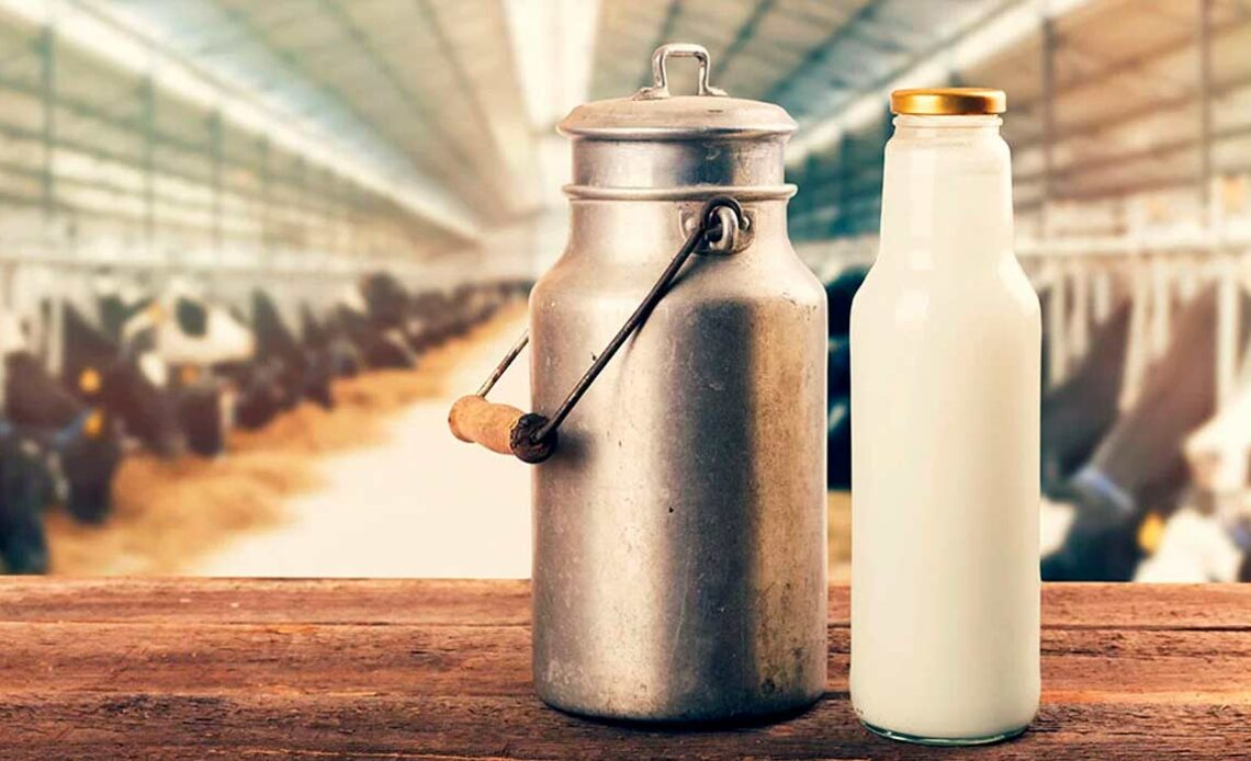 Pecuária de leite com destaque para o produto