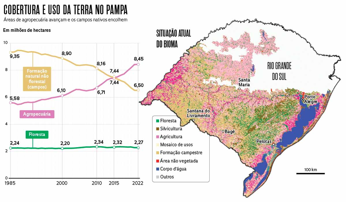 Cobertura e uso da terra no pampa - Foto Alexandre Affonso/Revista Pesquisa FAPESP - MapBiomas