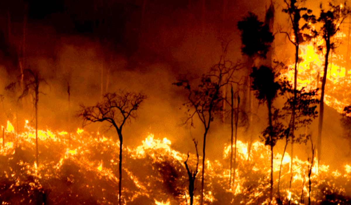 91% da área queimada ficam na Amazônia, que foi o bioma mais afetado pelo fogo no período, principalmente em decorrência das queimadas que atingem o extremo norte da região nesse período