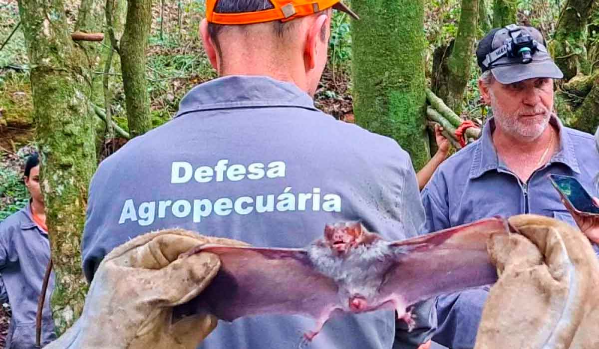 Equipe da Defesa Agropecuária em ação