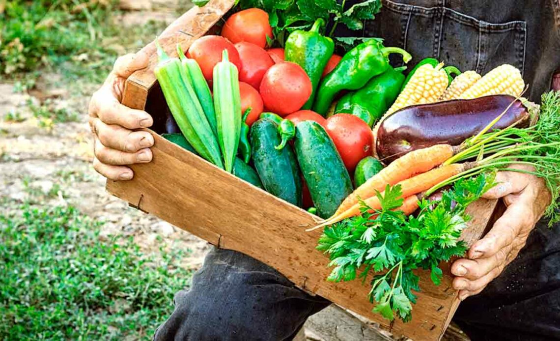 O Pronaf existe para fortalecer a agricultura familiar