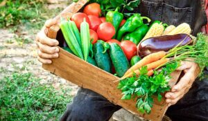 O Pronaf existe para fortalecer a agricultura familiar