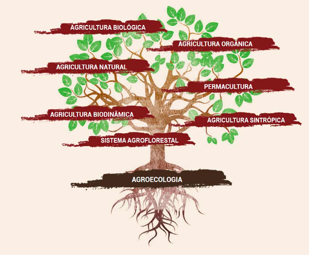 Modalidades da agroecologia