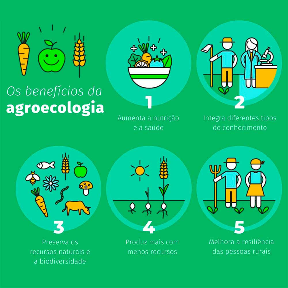 Os benefícios da agroecologia
