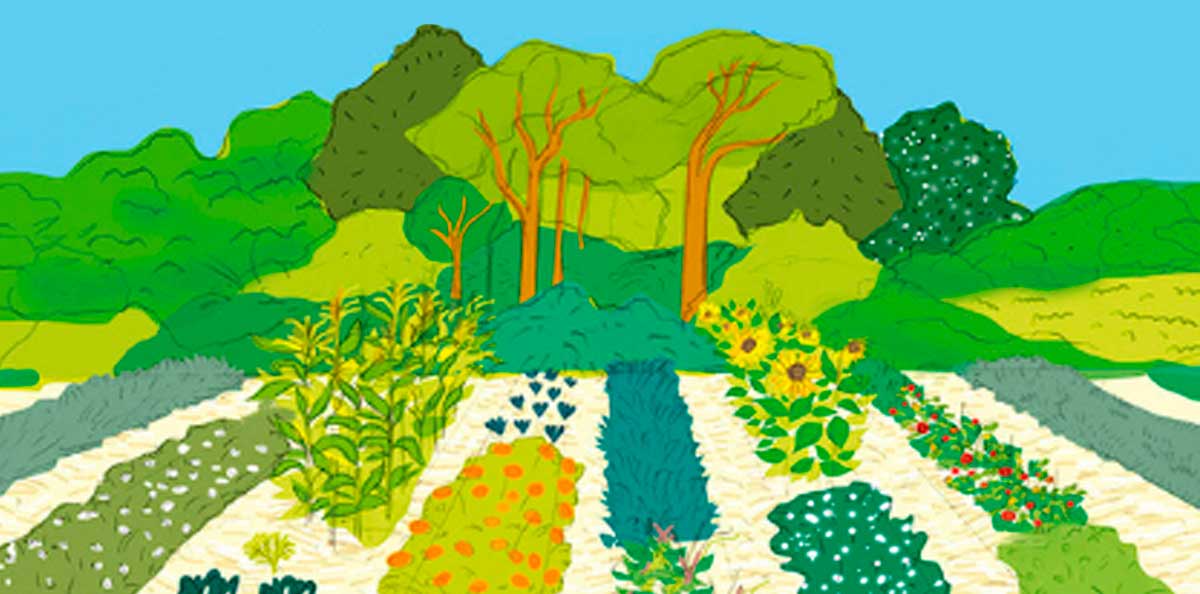 Ilustração de sistema agroecológico