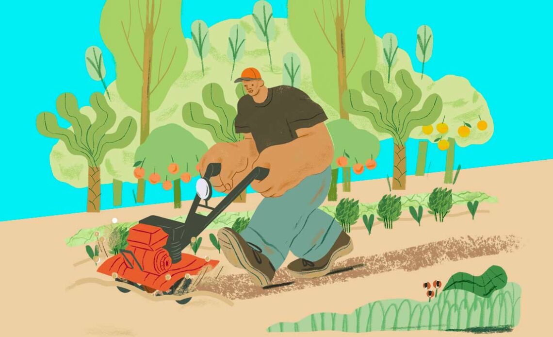 Ilustração de produção agroecológica