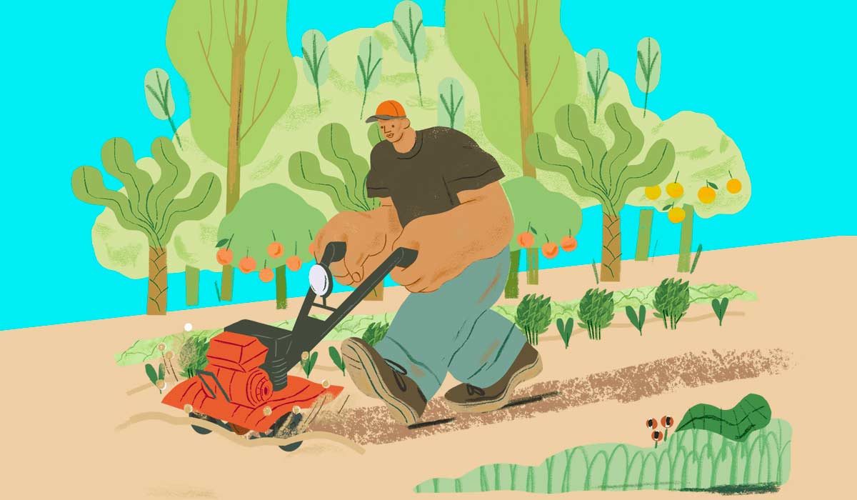 Ilustração de produção agroecológica