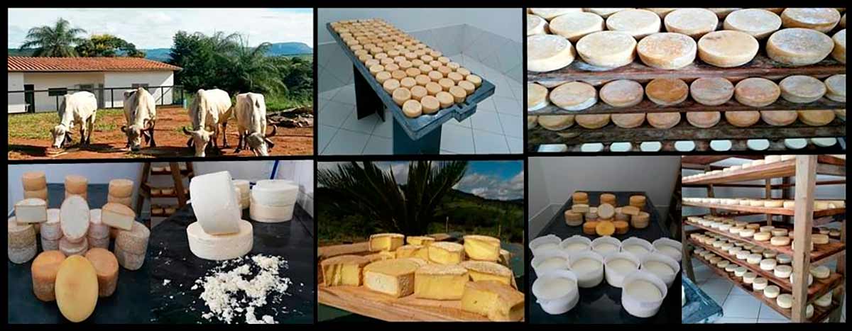 A receita do queijo do Serro tem mais de 300 anos na região