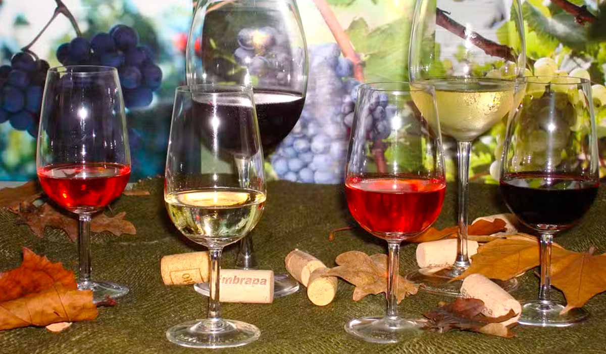 Curso de vinhos e sucos de uva será realizado integralmente online — Foto: Viviane Zanella/Embrapa