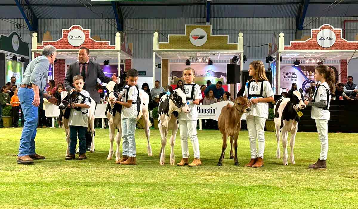 Clube de Bezerras da ExpoFrísia promove a aproximação das crianças com a pecuária leiteira