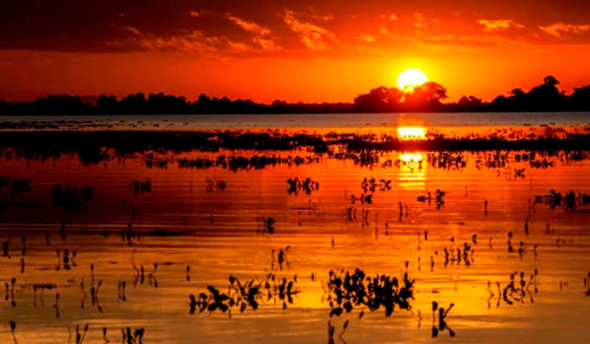 Por do sol no pantanal