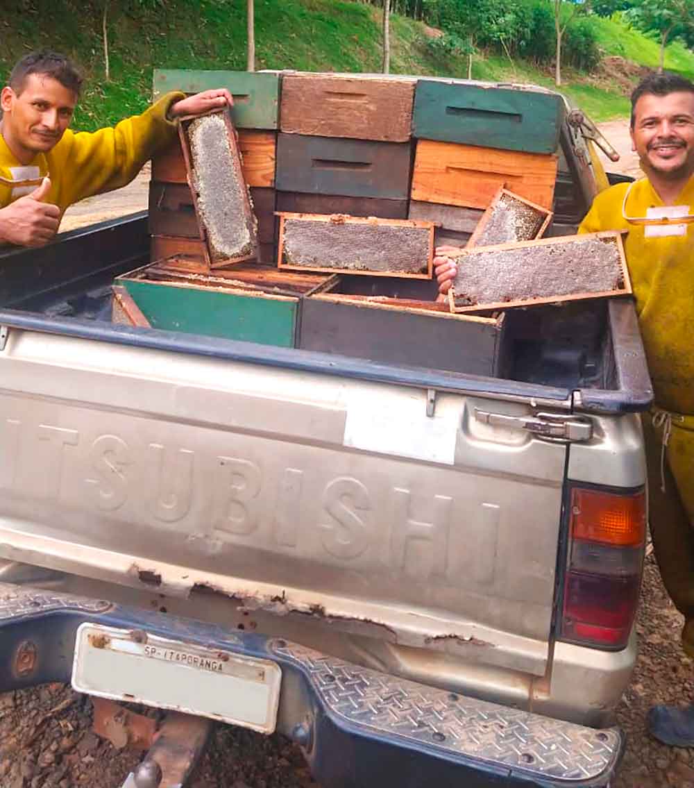 Luan e seu irmão com os favos coletados