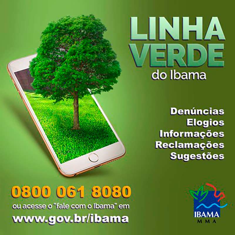 Contatos da Linha Verde do IBAMA para denúncias