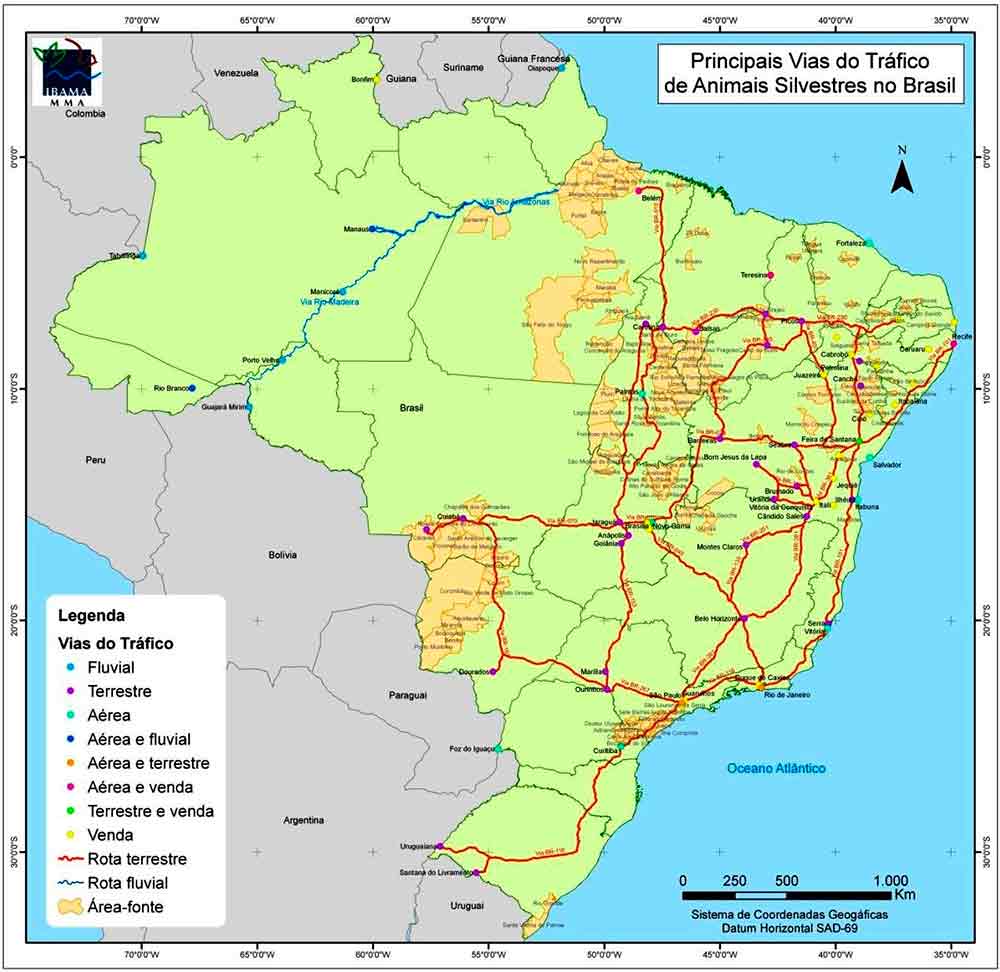 Mapa com as principais cias do tráfico de animais silvestres no Brasil