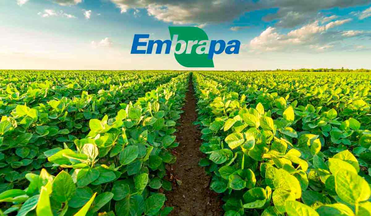 Embrapa